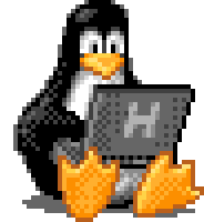 Tux the Linux penguin typing on a laptop